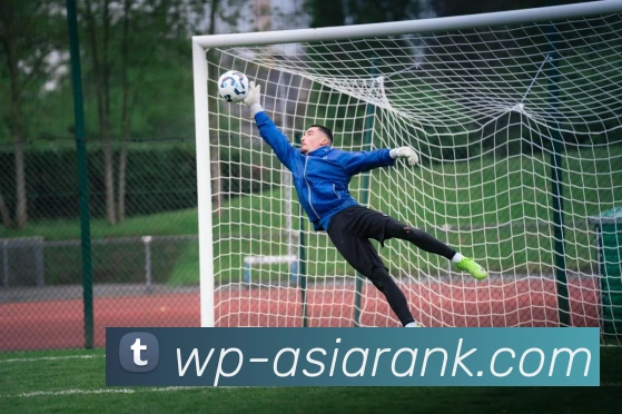 亚洲博彩官网平台生态图